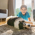Breathe Better Instantly with the 20x25x5 HVAC and Furnace Air Filter for Home You Didn’t Know You Needed