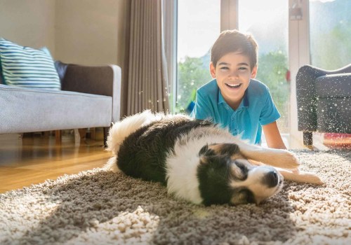 Breathe Better Instantly with the 20x25x5 HVAC and Furnace Air Filter for Home You Didn’t Know You Needed